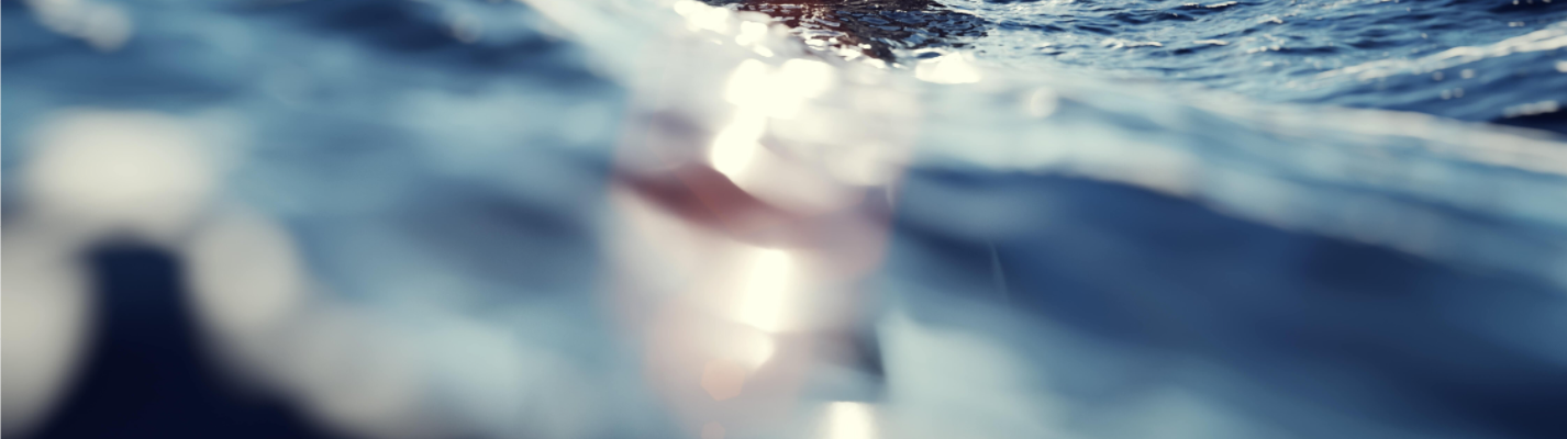 parallax image